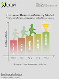 Social Business Maturity Model