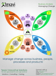 Business Analysis - Managing Change